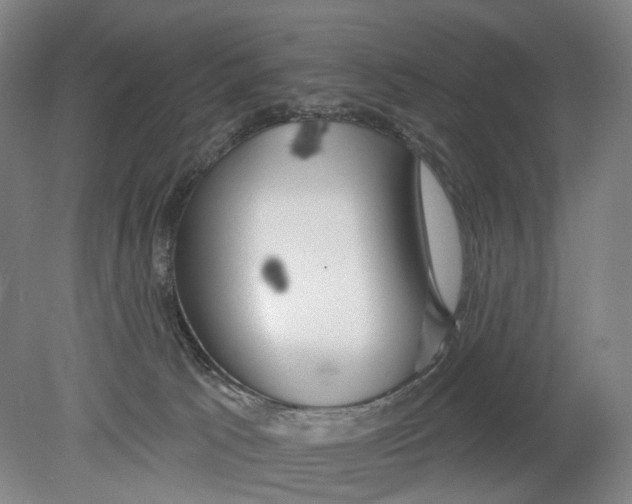 X0000080770033200701051313