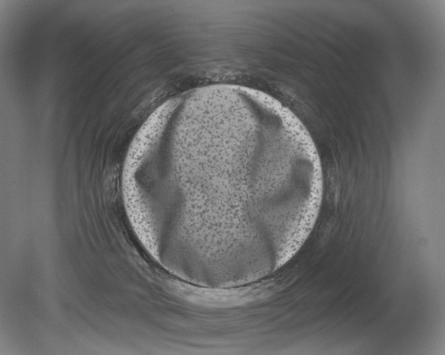 X0000080770034200701051313