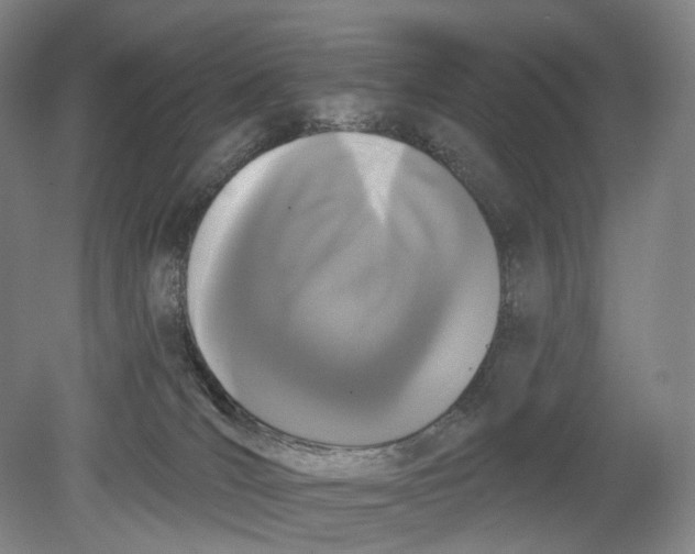 X0000080770036200701051313