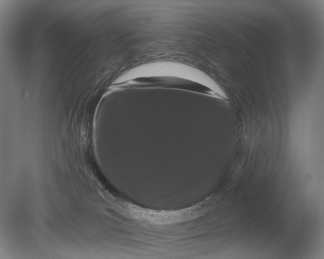 X0000080770039200701051313