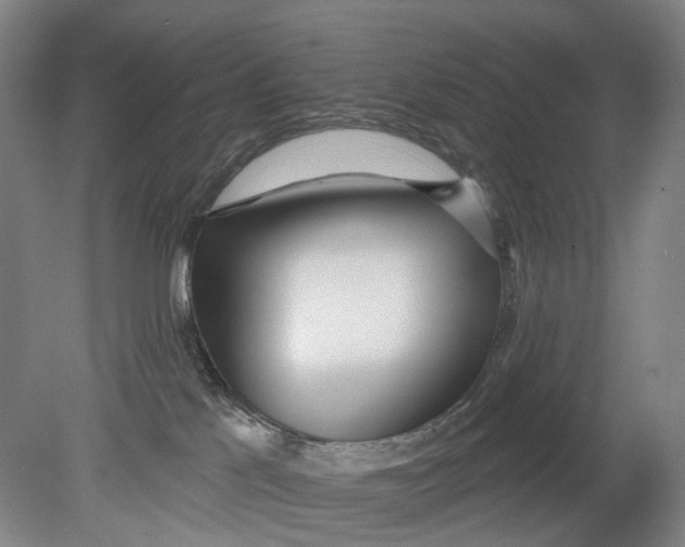 X0000080770041200701051313