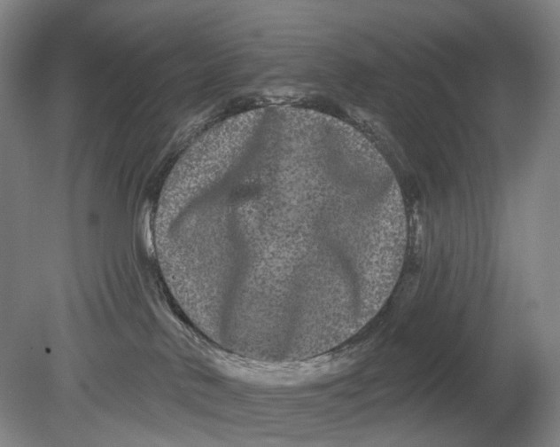 X0000080770042200701051313