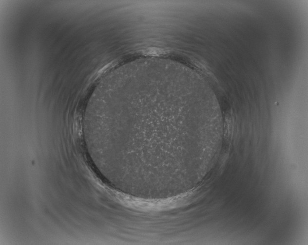 X0000080770043200701051313