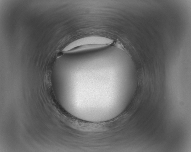 X0000080770044200701051313