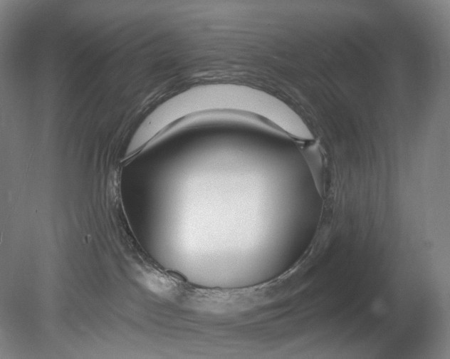 X0000080770045200701051313