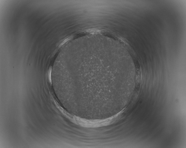 X0000080770047200701051313