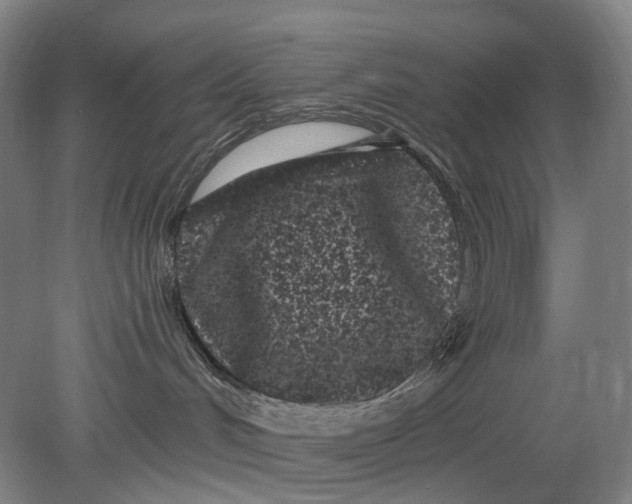 X0000080770048200701051313