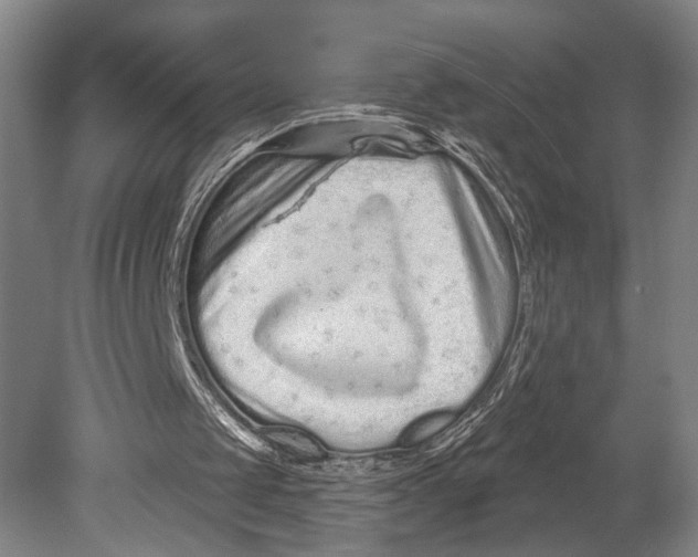 X0000080770049200701051312