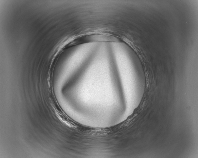 X0000080770050200701051312