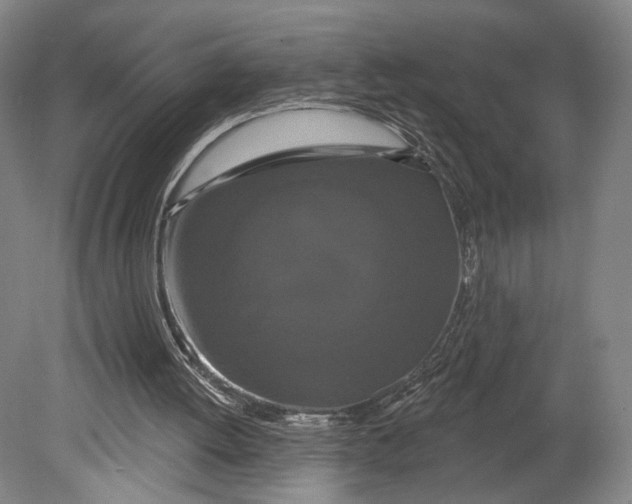 X0000080770052200701051312