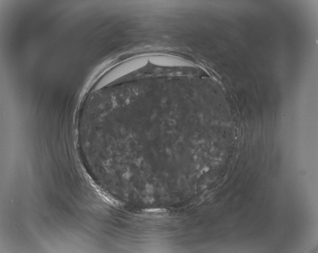 X0000080770053200701051312