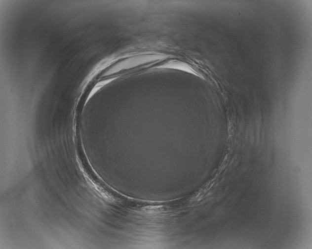 X0000080770054200701051312