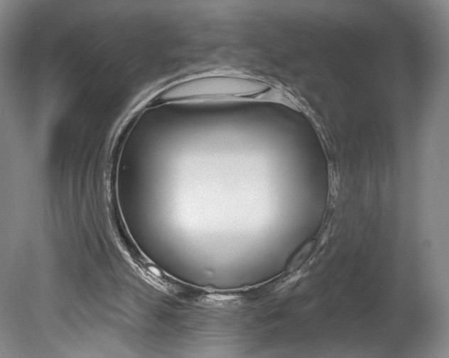 X0000080770055200701051312