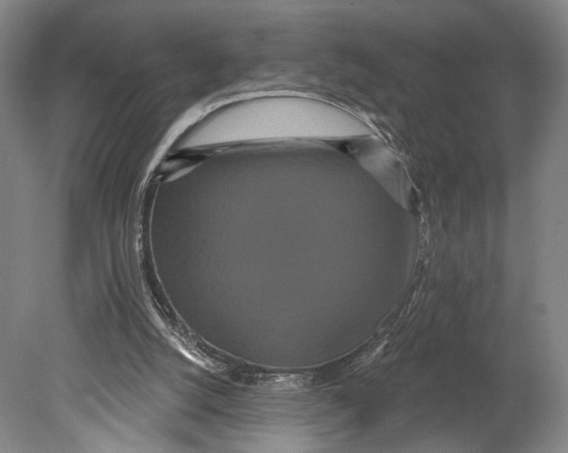 X0000080770056200701051312