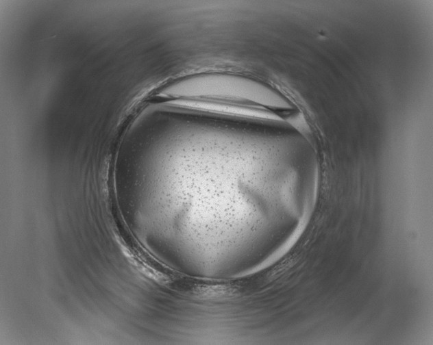 X0000080770058200701051312