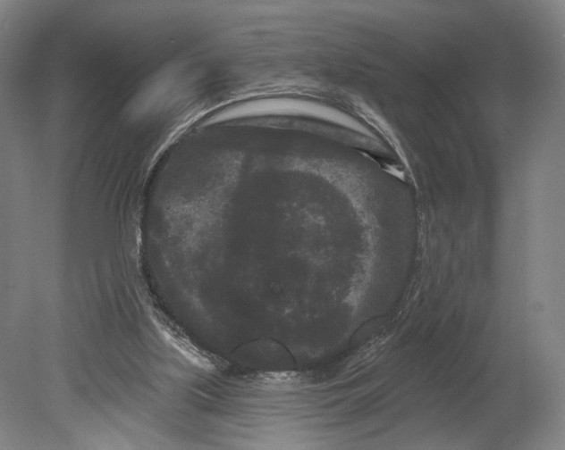 X0000080770059200701051312