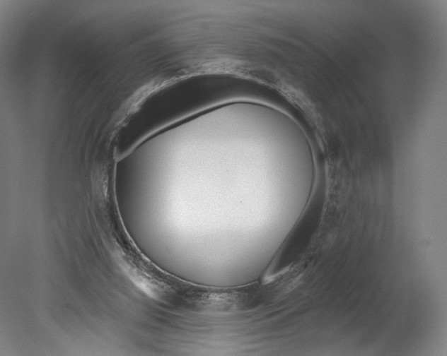 X0000080770060200701051312