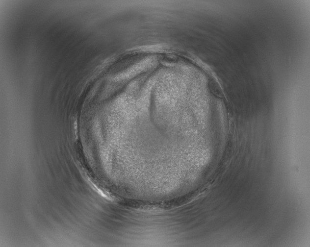 X0000080770061200701051312