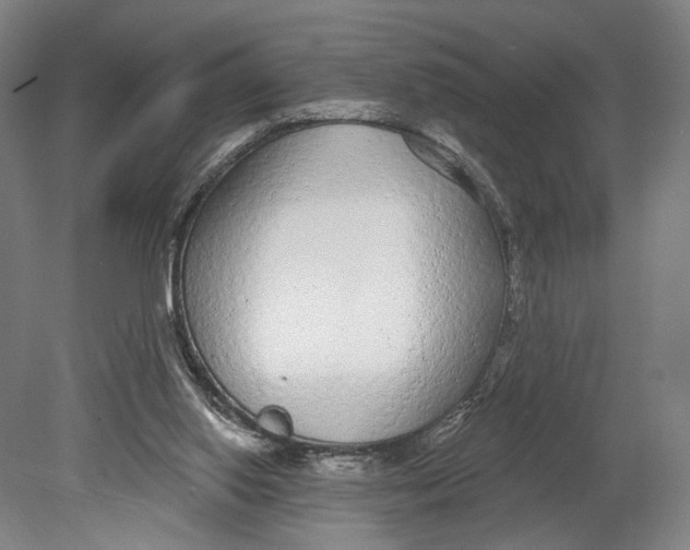 X0000080770062200701051312