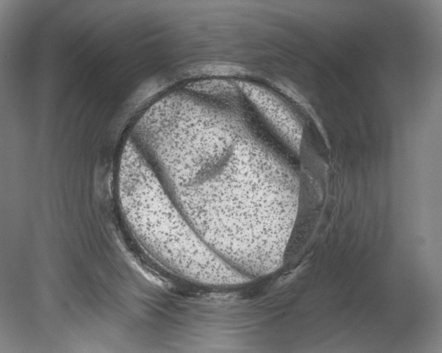 X0000080770063200701051312