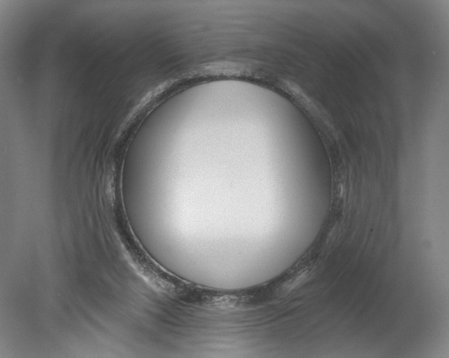 X0000080770064200701051312