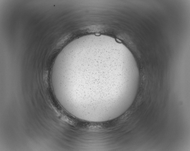 X0000080770066200701051312