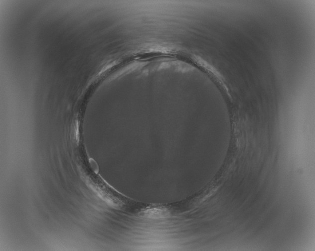 X0000080770067200701051312