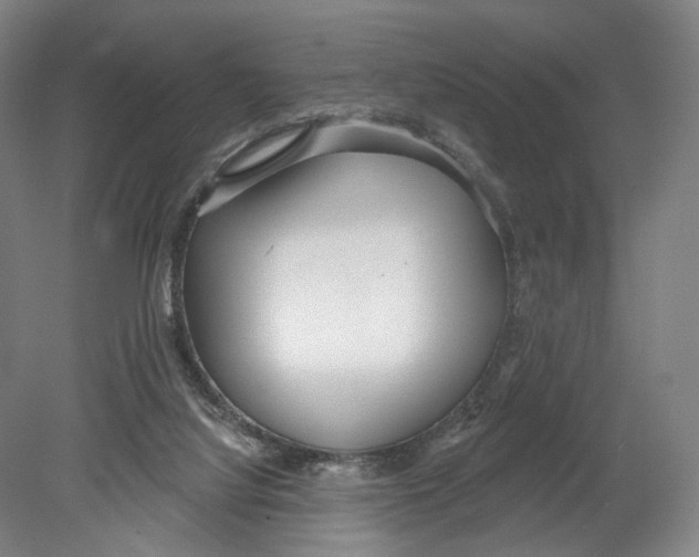 X0000080770068200701051312