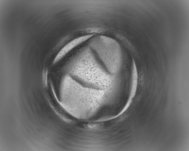 X0000080770070200701051312