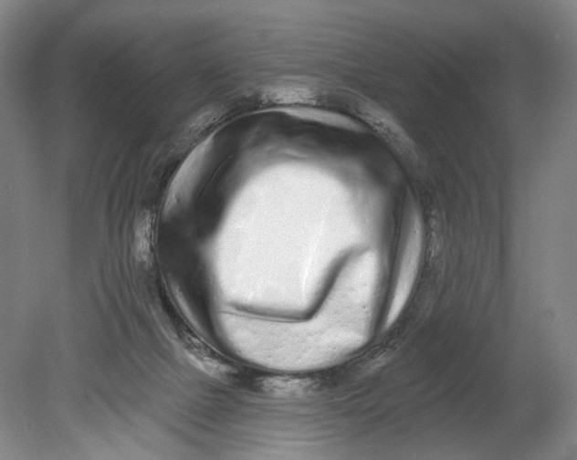 X0000080770073200701051312