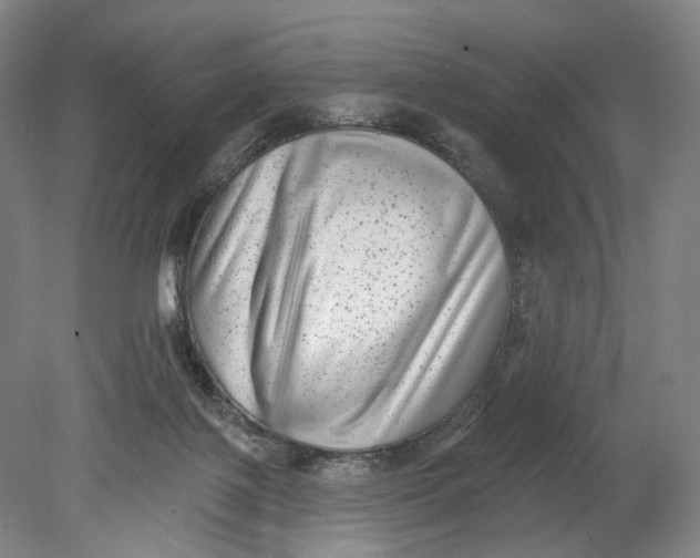 X0000080770075200701051313