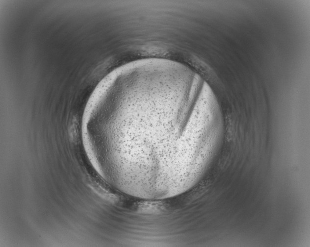 X0000080770077200701051313