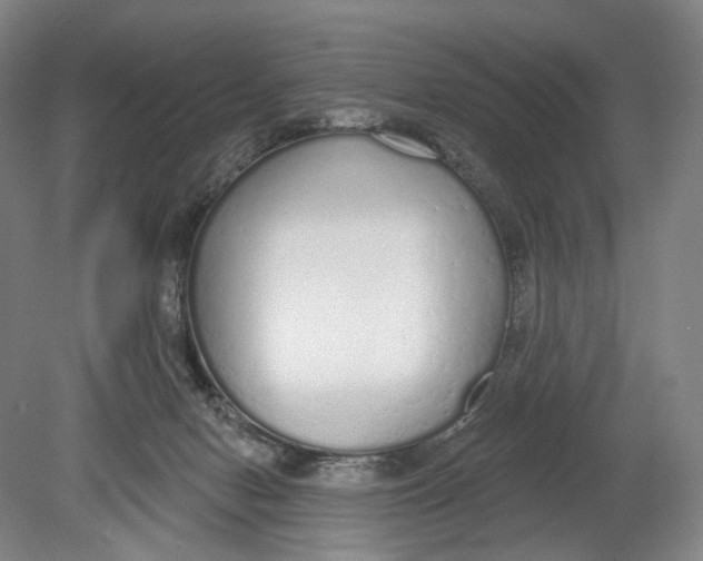 X0000080770078200701051313