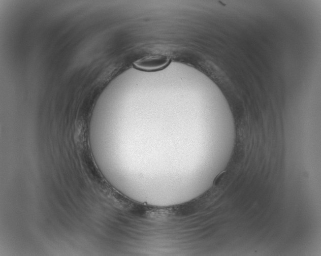 X0000080770079200701051313