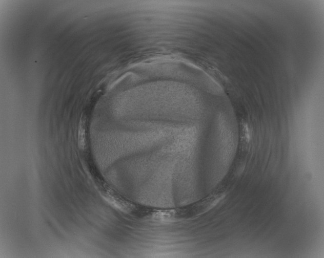 X0000080770080200701051313