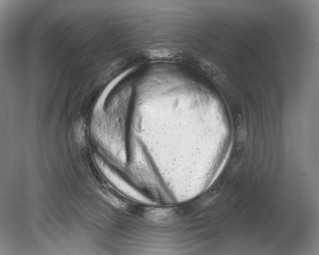 X0000080770081200701051313