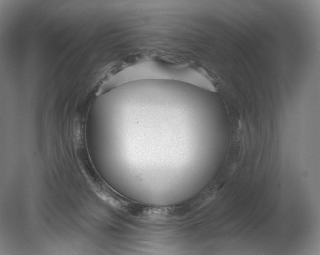 X0000080770084200701051313