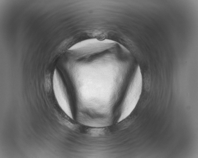 X0000080770085200701051313