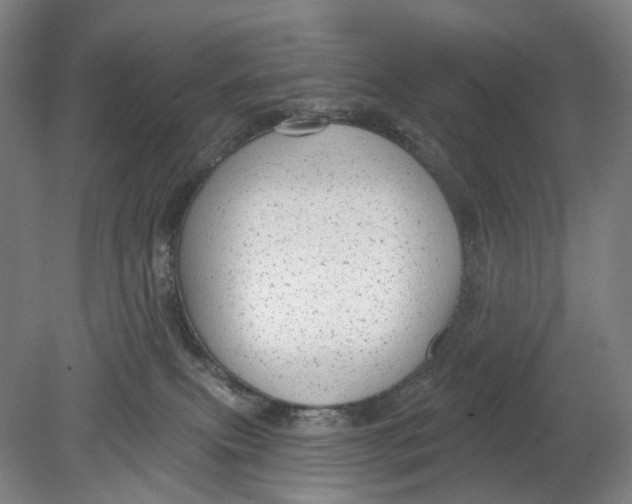 X0000080770087200701051313