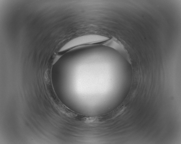 X0000080770088200701051313