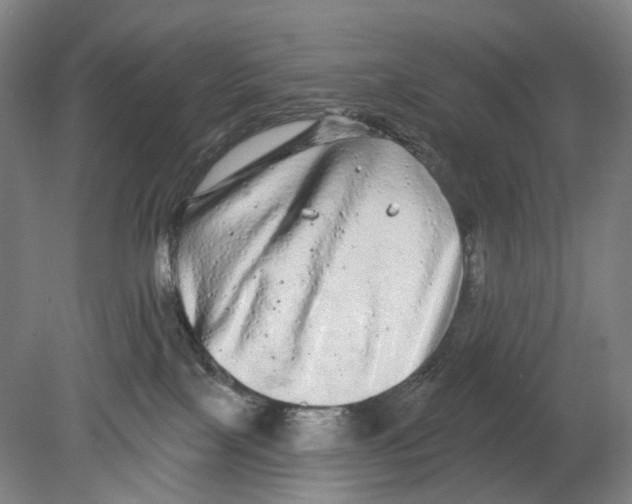 X0000080770089200701051313