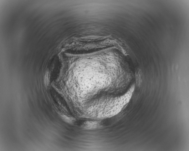 X0000080770093200701051313