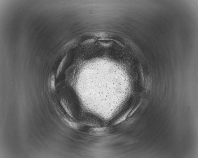 X0000080770095200701051313