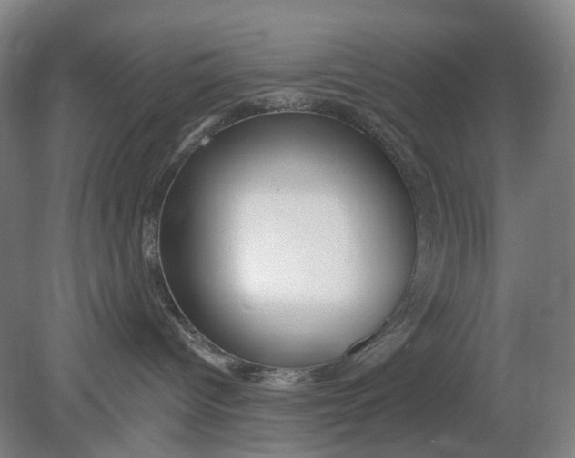 X0000080770096200701051313