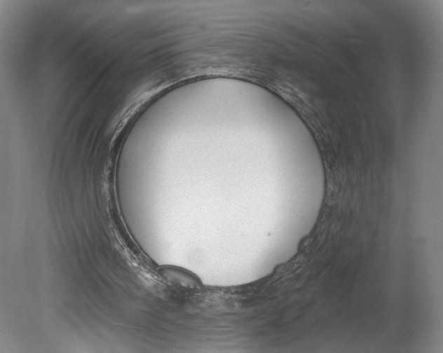 X0000080770098200701051312