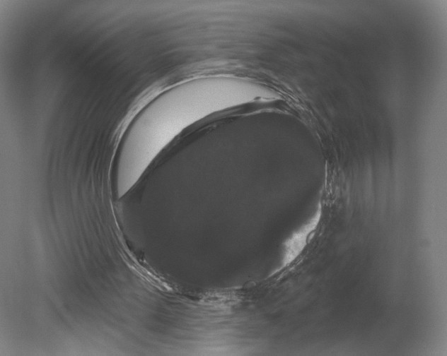 X0000080770099200701051312