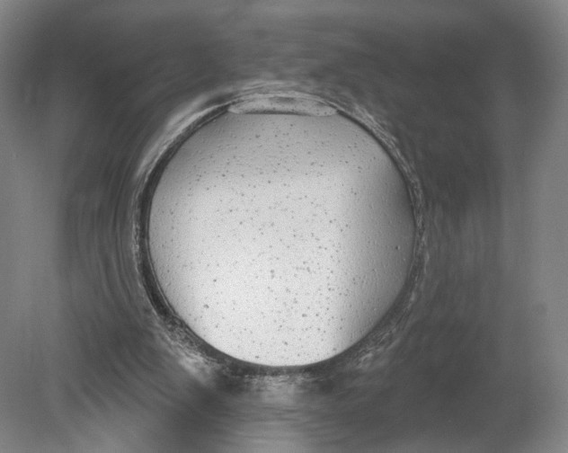 X0000080770103200701051312