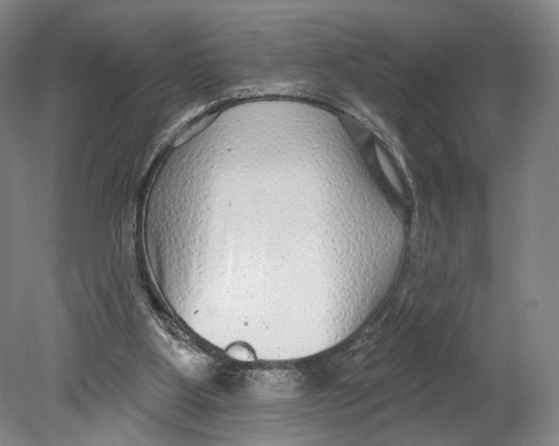 X0000080770107200701051312