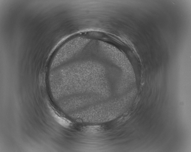 X0000080770108200701051312