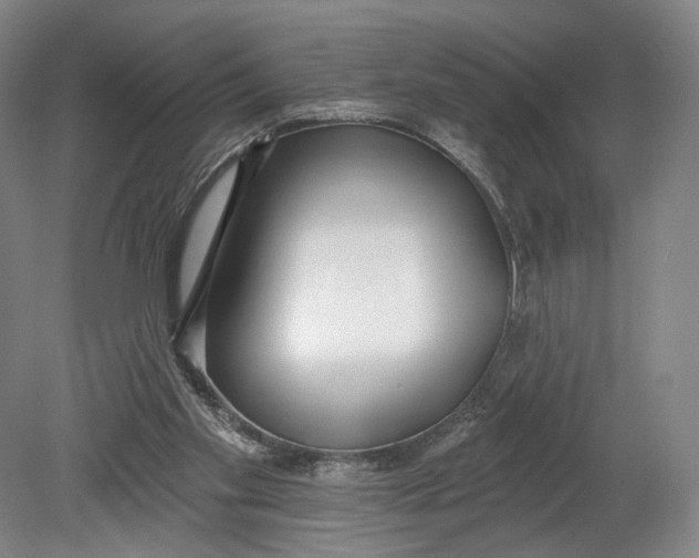 X0000080770109200701051312